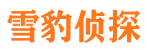 厦门调查事务所